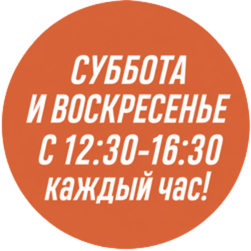 bullet-2