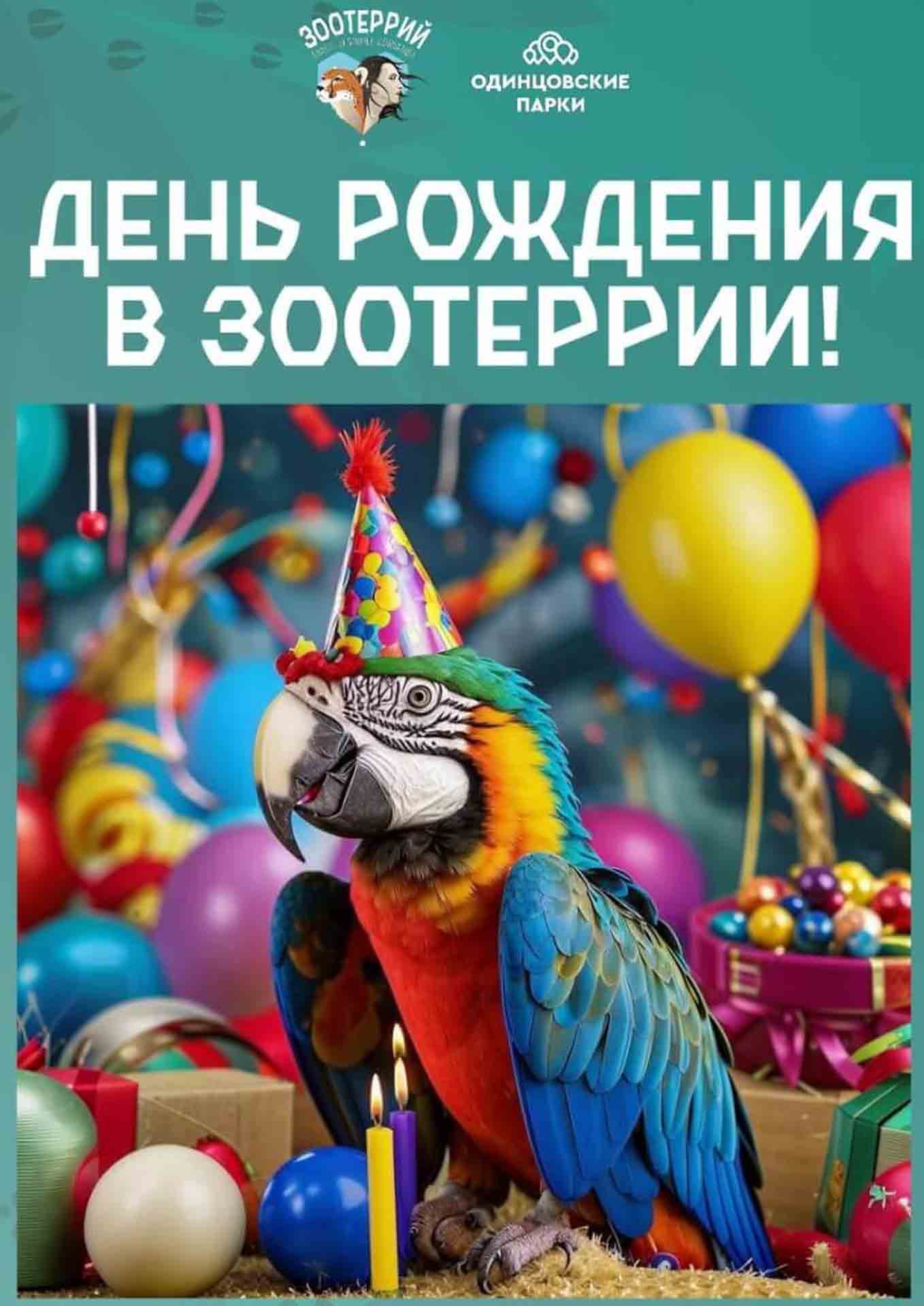 den-rozhdeniya-v-zooterrii