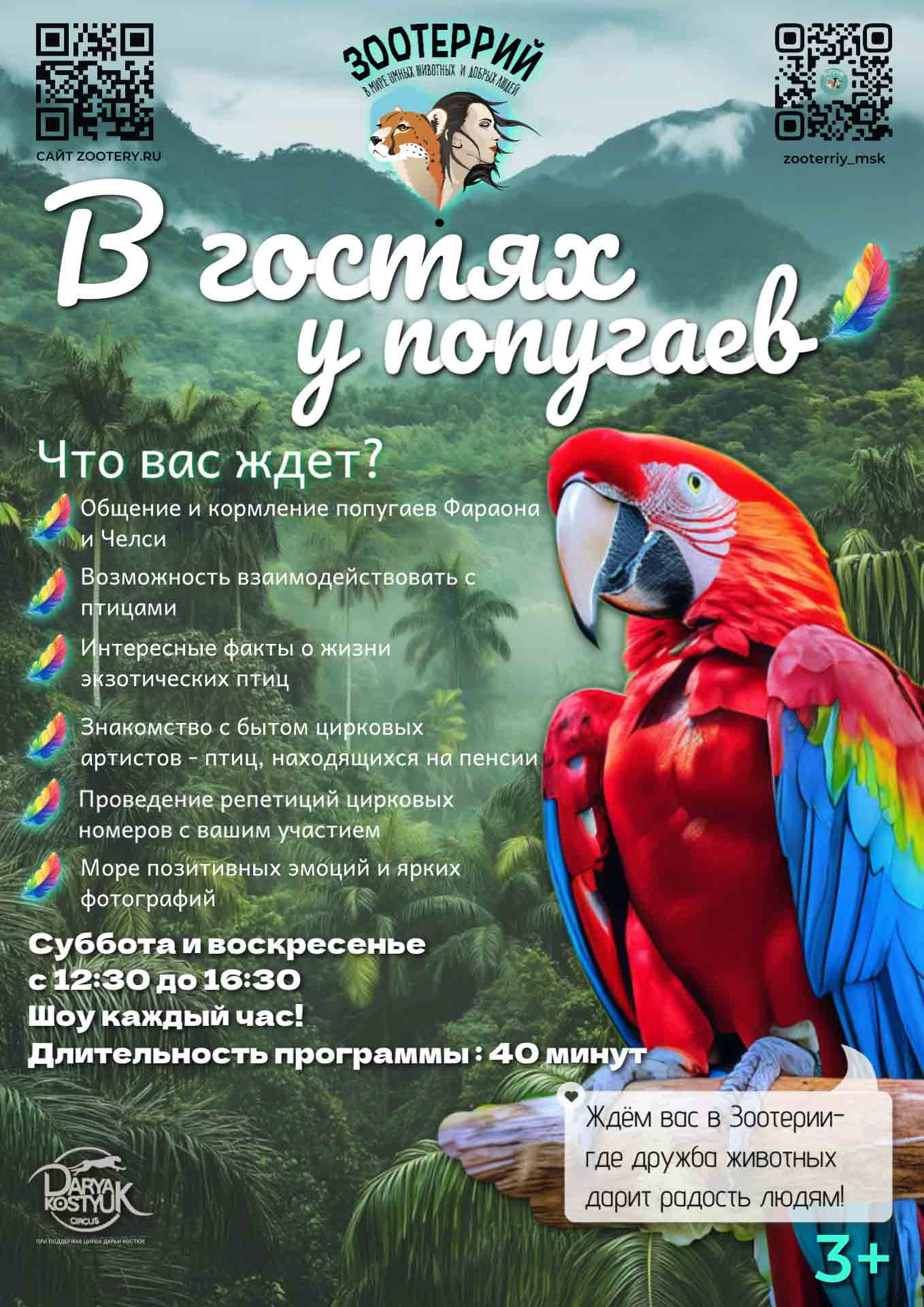v-gotyah-u-popugaev